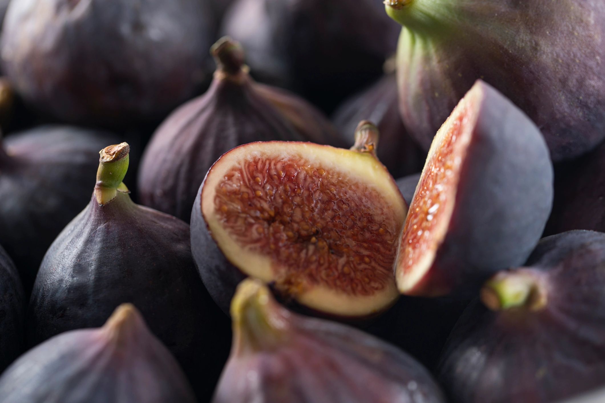 artisan fig farm homestead
